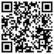 手机/微信访问网站